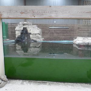 Cuban Crocodile Exhibit
