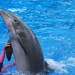 2012 SeaWorld Orlando