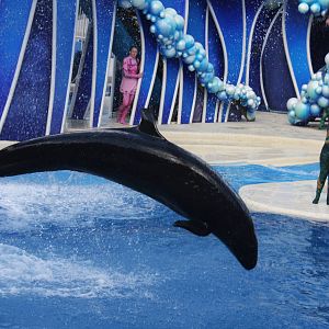2012 SeaWorld Orlando