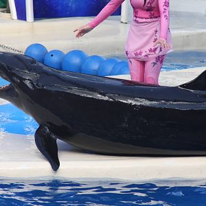 2012 SeaWorld Orlando