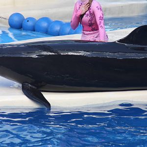 2012 SeaWorld Orlando