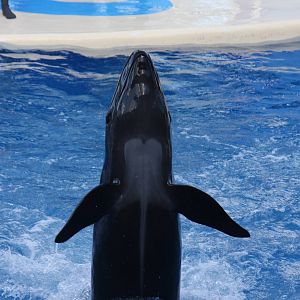 2012 SeaWorld Orlando