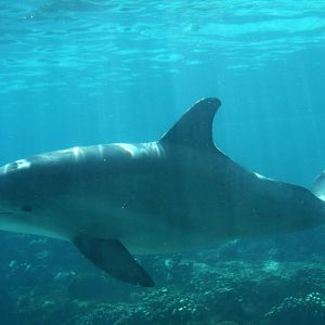 2012 SeaWorld Orlando