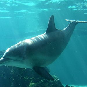 2012 SeaWorld Orlando