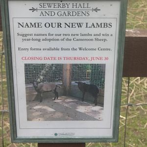 Competition Signage, 17th June 2016