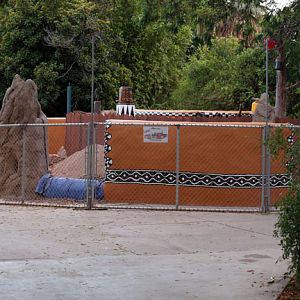 Summer Safari Nights