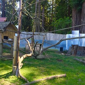 Red Panda and Muntjac Exhibit