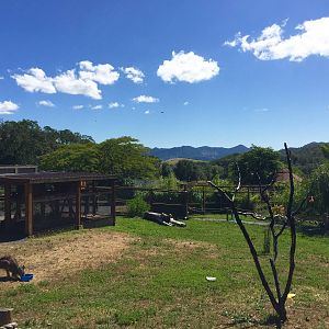 Australian Walkabout