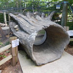 6/23/2016 - Log Viewing Window