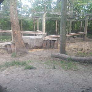 6/23/2016 - Cougar Exhibit