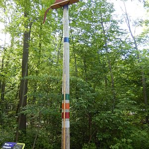 6/23/2016 - Animal Jump Scale Pole