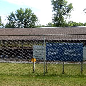 6/23/2016 - Fish Rearing Pond