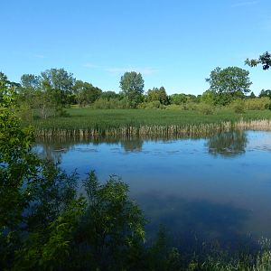 6/23/2016 - Little Manitowoc River Deck