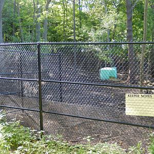 6/23/2016 - New White-Tailed Deer Exhibit