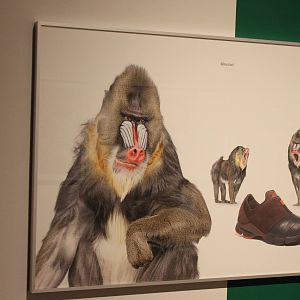 Museum f?r Kunst und Gewerbe - Hamburg