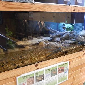 6/23/2016 - Terrarium