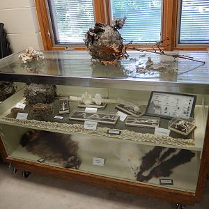 6/23/2016 - Display Table