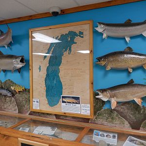 6/23/2016 - Lake Michigan Display
