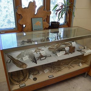 6/23/2016 - Display Table