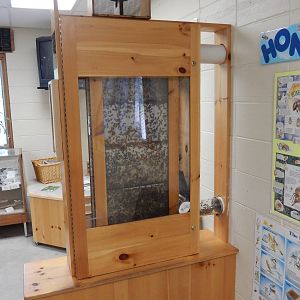 6/23/2016 - Honey Beehive