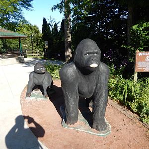 6/23/2016 - Gorilla Statues