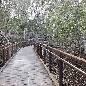 Boardwalk Leading to Entrance