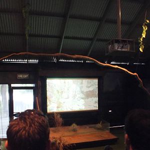 Inside of Night Show Area