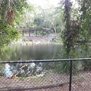 View of Waterfowl Lake and Bird Show Area