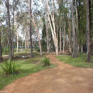 View in Walkthrough Enclosure