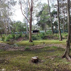 View in Walkthrough Enclosure