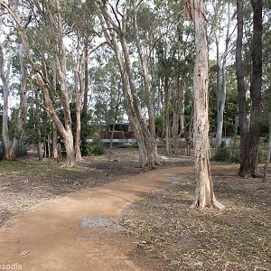View in Walkthrough Enclosure