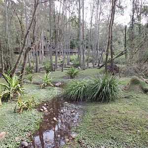 Part of Wetlands Area