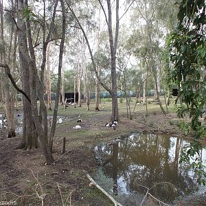 View into Walkthrough Enclosure