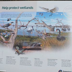 Wetlands Sign