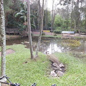 Freshwater Crocodile Enclosure