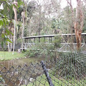 Bridge Across the Crocodile Enclosures