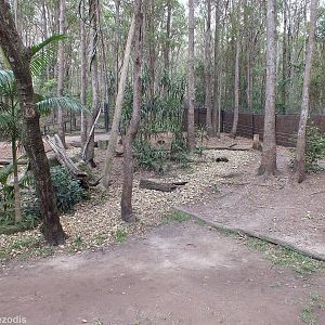 Dingo Enclosure
