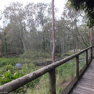 Part of Wetlands Area