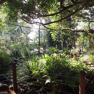 View in Walkthrough Aviary