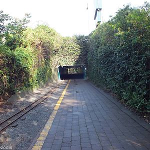Tunnel Under Road Connecting Two Sides of Zoo