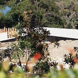 Sumatran Tiger Adventure construction progress