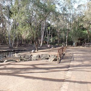 Part of Red Kangaroo and Emu Walkthrough Enclosure