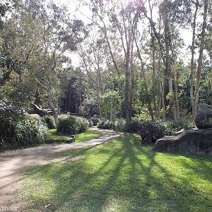 Mixed Wallaby Walkthrough Enclosure with Four Species.