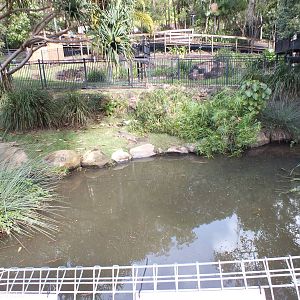 Part of Freshwater Crocodile Enclosure