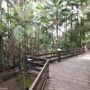 Path Going Past Tree Kangaroo Enclosures (on left)