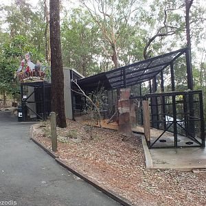 View of Parrot/Lorikeet Walkthrough from Outside