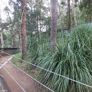 Quokka Enclosure