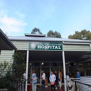 View of Wildlife Hospital