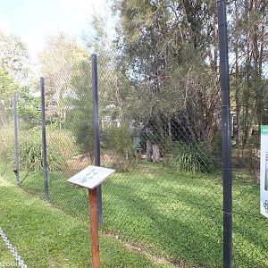 Black-necked Stork Enclosure
