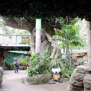 View in Part of 'Blinky Bill's Home Tree'